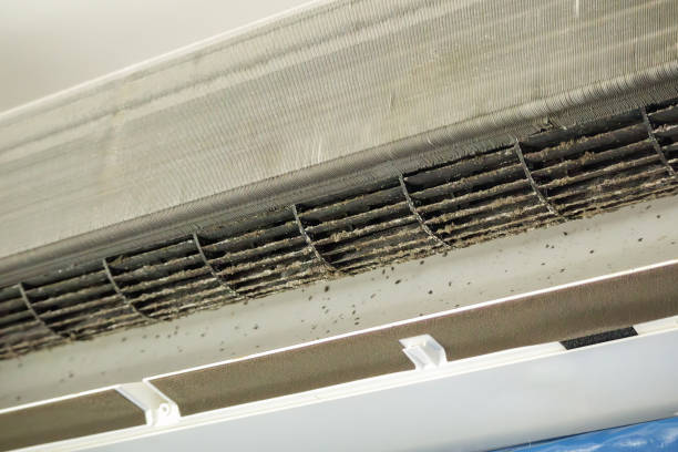 Best Air Vent Cleaning Services  in Rockville Centre, NY